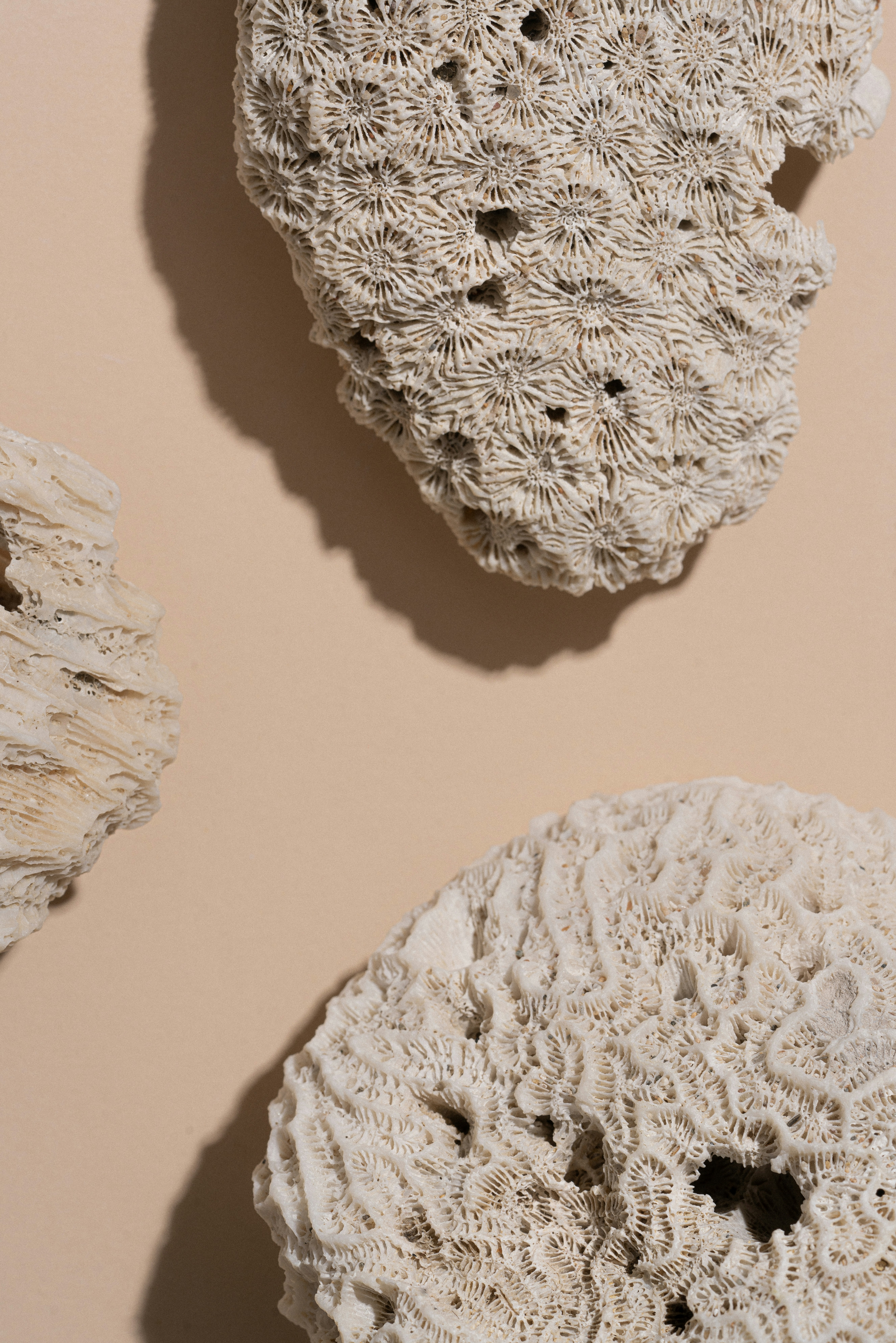 Immer mehr Narzissmus und Gewalt in der Gesellschaft: Heilung beginnt auch hier bei jedem einzelnen