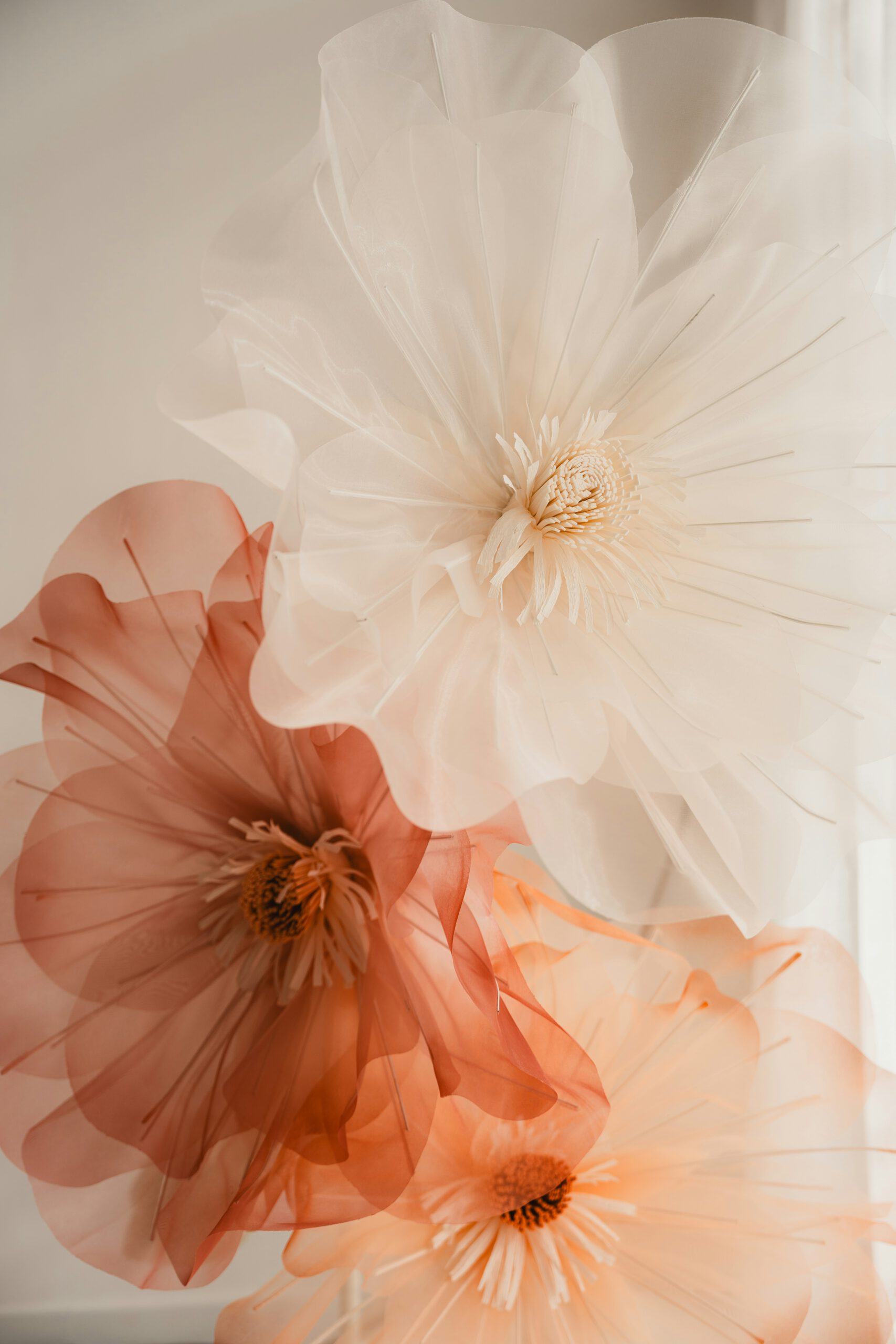 Der unsichtbare Abdruck: Warum Scham nicht zu dir gehört, sondern zu dem, der sich in Wahrheit schämen sollte